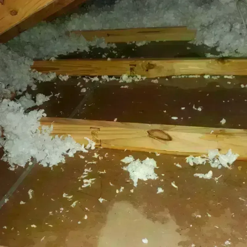 Attic Water Damage in Alexandria, NH